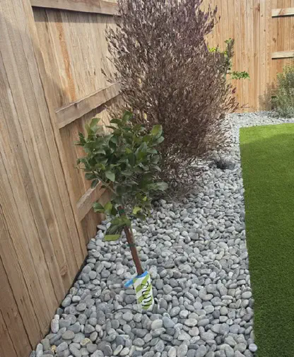 our work