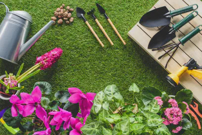 top view of arranged gardening equipment and flower