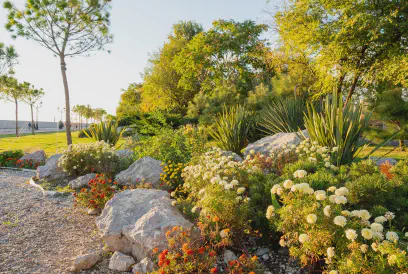 urban landscaping flower bed with colorful plants