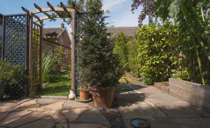 Patio Design & Installation