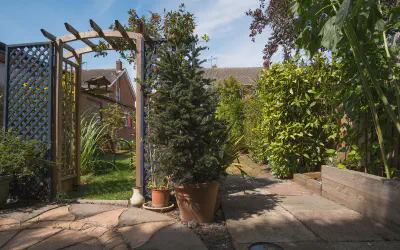 Patio Design & Installation