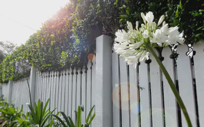 Fence Work