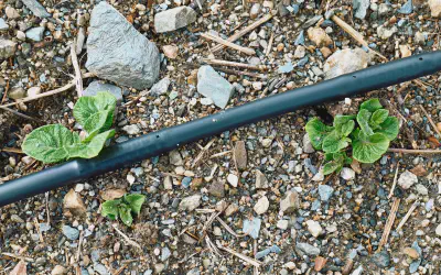 PVC Installation & Repairs
