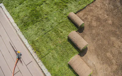 Sod Installation